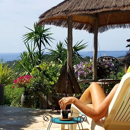 Nouveau ! Chambre D'Hote Insolite Privee " Coeurs De Pirates A Bali En Provence" Spa Sauna Massages Dans Cadre Exotique D'Amenagements Exterieurs D'Exception Ete Comme Hiver Bienvenue !!! Cavalaire-sur-Mer Bagian luar foto