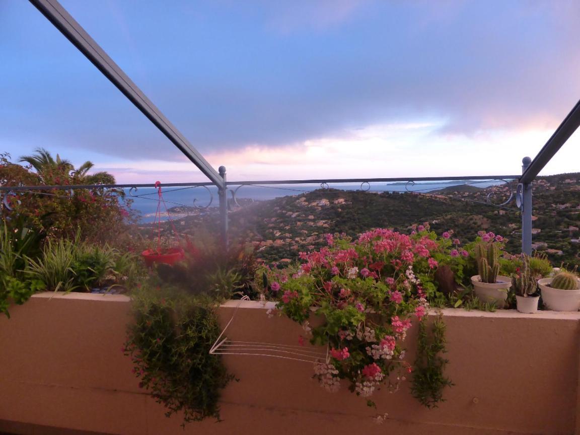 Nouveau ! Chambre D'Hote Insolite Privee " Coeurs De Pirates A Bali En Provence" Spa Sauna Massages Dans Cadre Exotique D'Amenagements Exterieurs D'Exception Ete Comme Hiver Bienvenue !!! Cavalaire-sur-Mer Bagian luar foto