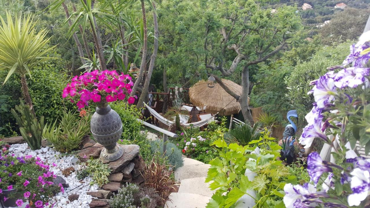 Nouveau ! Chambre D'Hote Insolite Privee " Coeurs De Pirates A Bali En Provence" Spa Sauna Massages Dans Cadre Exotique D'Amenagements Exterieurs D'Exception Ete Comme Hiver Bienvenue !!! Cavalaire-sur-Mer Bagian luar foto