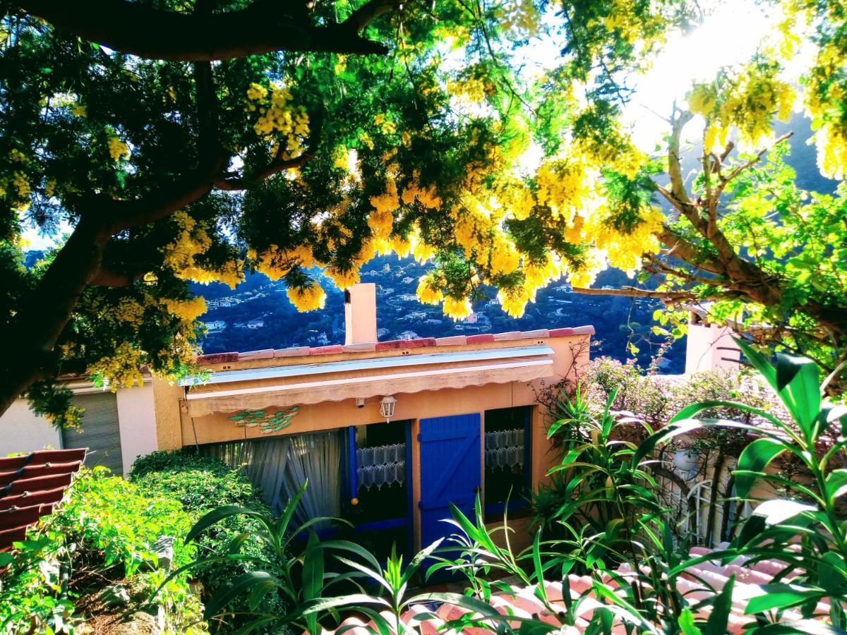 Nouveau ! Chambre D'Hote Insolite Privee " Coeurs De Pirates A Bali En Provence" Spa Sauna Massages Dans Cadre Exotique D'Amenagements Exterieurs D'Exception Ete Comme Hiver Bienvenue !!! Cavalaire-sur-Mer Bagian luar foto