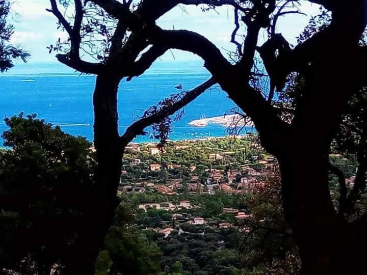 Nouveau ! Chambre D'Hote Insolite Privee " Coeurs De Pirates A Bali En Provence" Spa Sauna Massages Dans Cadre Exotique D'Amenagements Exterieurs D'Exception Ete Comme Hiver Bienvenue !!! Cavalaire-sur-Mer Bagian luar foto